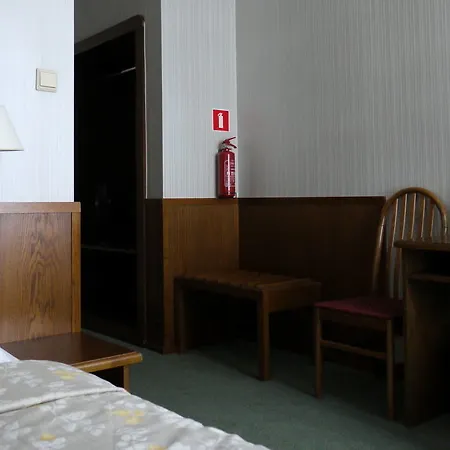 호텔 Hotel Rzymski 3*