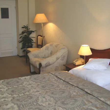 호텔 Hotel Rzymski 3*